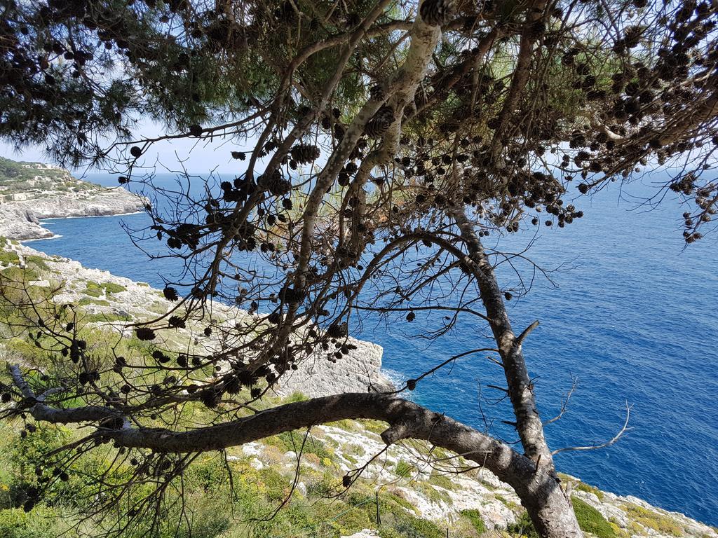 Villa Bocca Del Pozzo Gagliano del Capo Εξωτερικό φωτογραφία