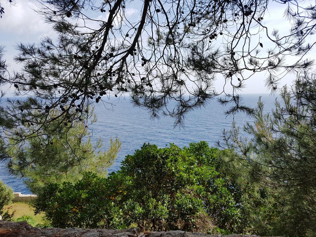 Villa Bocca Del Pozzo Gagliano del Capo Εξωτερικό φωτογραφία