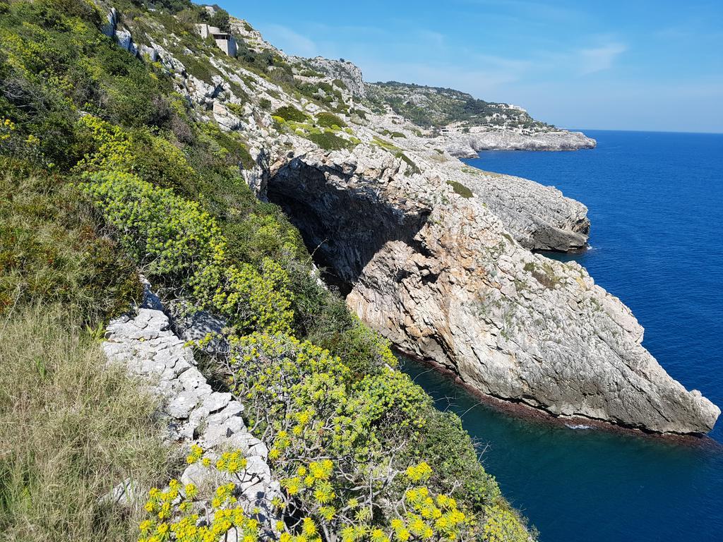 Villa Bocca Del Pozzo Gagliano del Capo Εξωτερικό φωτογραφία