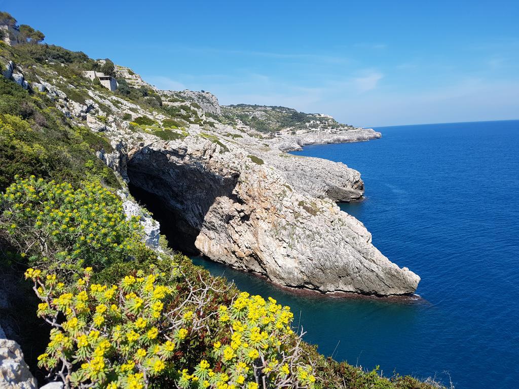 Villa Bocca Del Pozzo Gagliano del Capo Εξωτερικό φωτογραφία