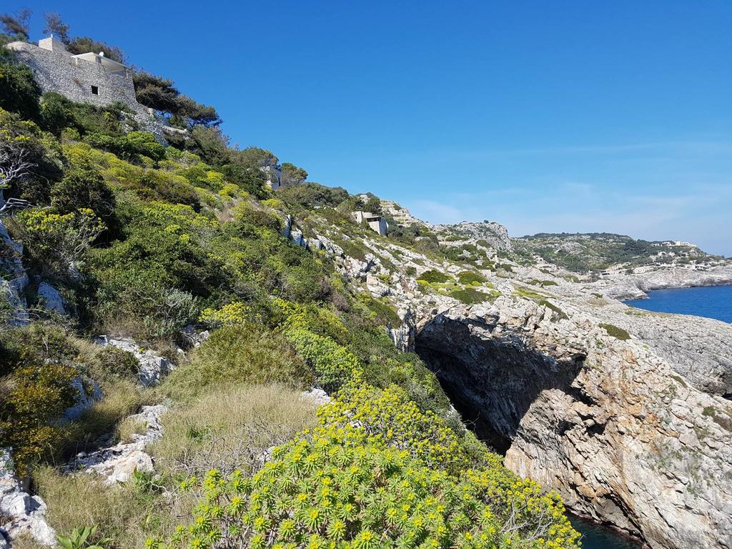 Villa Bocca Del Pozzo Gagliano del Capo Εξωτερικό φωτογραφία