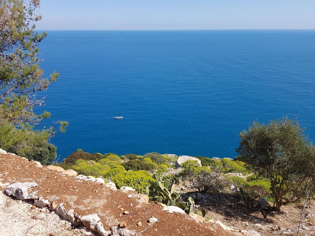 Villa Bocca Del Pozzo Gagliano del Capo Εξωτερικό φωτογραφία